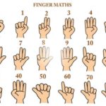 Dạy toán cho bé 4 tuổi - Finger math - toán bàn tay - Finger math method