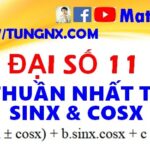 Phương trình thuần nhất theo sinx và cosx - Các dạng phương trình lượng giác lớp 11 - Maths9m